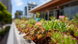© Наталія Євтехова - Rooftop garden bees visiting succulents in a modern district, Africa, city, green, bees, rooftop, sustainability, ecology, urban, with copy space