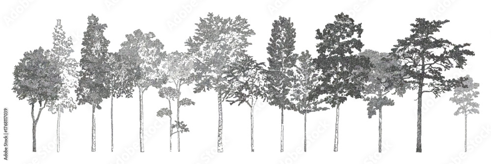 Architectural vector drawing of wetland forest tree-line section and ...