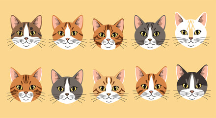  A variety of cute cartoon cat faces with different fur patterns and colors arranged in rows.