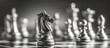 © noeryana - Close-up of a chess knight piece on a board, with blurred background in monochrome