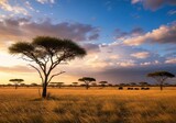 Majestic african savannah sunset acacia trees wildlife grazing scenic landscape