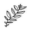 © Griyolabs - Minimalist botanical illustration of a leafy sprig hand-drawn in a simple sketch style