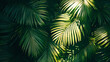© Jeerawat - Lush Green Palm Leaves in Natural Light Against Dark Background
