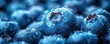 © Georgii - Close-up of fresh blueberries with water droplets under soft blue lighting