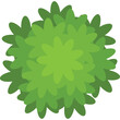 © nazril - Top Down View Of A Green Bush With Layered Leaves And A Transparent Background Simple Minimalist Nature Element