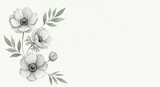 Watercolor anemone flowers and leaves on a textured offwhite background