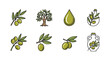© Karyna - A collection of stylized vector icons representing olives and olive oil, featuring olive branches with green olives, a mature olive tree, a single drop of olive oil, and bottles of olive oil in