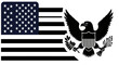 © punduh - American flag and eagle design symbolizing patriotism and national identity graphics