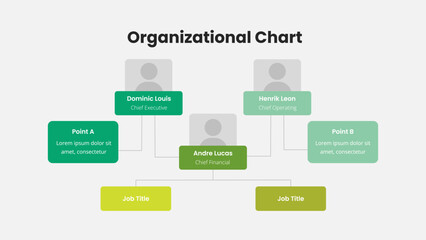Naklejka na meble Company Hierarchy Infographic