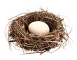 © Azka_ - Bird's nest. A lone, round, white egg rests in a nest woven from twigs and dry grass, set against black backdrop