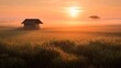 © Plaifah - Peaceful rural landscape with a wooden hut and serene sunrise over golden rice fields, showcasing nature's beauty and tranquility in the early morning light.