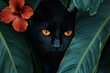 © MrHamster - Intriguing black cat, hidden amidst lush tropical foliage, with vibrant orange eyes, showcasing a dramatic contrast of darkness and color.
