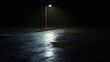 © Thiago - A solitary streetlight illuminating a wet road at night