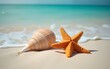 © han - starfish and seashell on the summer beach in sea water. High quality