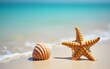 © han - starfish and seashell on the summer beach in sea water. High quality