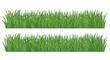 © Mstsalma - Two rows of vibrant green grass isolated on a white background