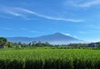© Agus N - view of  rice filed and mountain