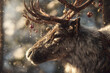 © Percy Lou - A majestic reindeer with Christmas ornaments hanging from its antlers