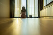 © shine - Confident woman using laptop and planning in new home sitting on floor. Bright sunlight shines through transparent silk curtain hanging at room. Ray of sun illuminate apartment at sunset or sunrise.