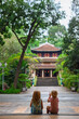 © Tropical studio - Two children sit on steps facing a traditional Vietnamese temple surrounded by lush tropical greenery in Saigon. Peaceful moment in cultural setting, perfect for family travel, and lifestyle themes.