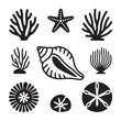 © Mfair - Sea shell icon vector set