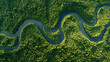 © Darren - Generative AI, Aerial view of a winding river through a dense, green rainforest. Top-down drone shot of a jungle canopy, Amazon river, and natural environment background.