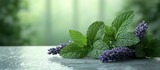 Fresh mint and lavender sprigs on a table.