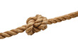 © QBeStock - Thick brown rope tied in a knot against a black background coarse, Png, Isolated on Transparent Background, Cut Out