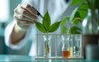 © Joseph - plant science laboratory research, biological chemistry test, green nature organic leaf experiment in test tube, scientist working in chemical medicine biotechnology or medical ecology lab technology