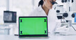 © Jordi P DE/peopleimages.com - Woman, scientist and microscope with green screen on laptop for research, medical study and sample. Person, mockup space and pc for experiment, observe organisms and online results for vaccine trial