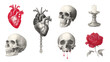 © Kingboy - Detailed Artistic Illustrations of Skulls, Hearts, and Candle on Isolated Background