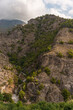 © victor - Rocky Mountain Gorge with Pine Trees under Partly Cloudy Sky