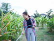 © buraratn - Young woman waters plants in lush garden, showcasing her dedication to nurturing greenery around her. serene environment highlights her connection to nature and joy of gardening