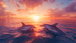 © Akash Tholiya - A pair of dolphins gracefully swimming at the water’s surface, enjoying the warm glow of the evening sunset