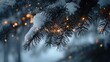 © MD - Winter Snow Covered Pine Branches With Twinkling Lights Displaying The Magic Of The Season