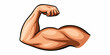 © Ankan - Cartoon illustration of a muscular flexed arm showing biceps and triceps muscles with a clenched fist