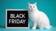 © Yulia Furman - Fluffy white cat beside black friday 2025 signboard