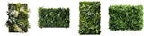 Living Wall Panels: Lush Green Vertical Garden on White