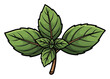 © Lukasz - Fresh green basil sprig aromatic culinary herb leaves