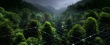 Advanced tech integrates intelligence into the heights of towering forest treetops
