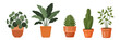 © liana - Set of house plants in a pot. Flat style. Green plant in a flower pot for cozy decoration of home, garden, veranda, balcony, terrace, office, living room, patio. Vector illustration.