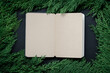 © solidmaks - Open blank craft paper notebook framed by dense green cypress branches on dark back