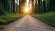 © siraphol - Sunset light over quiet forest path creates calm and cinematic atmosphere