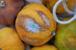 © Towfiqu Barbhuiya  - Moldy citrus fruit showing decay on a rustic surface