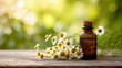 © Артур Комис - Essential Chamomile Oil Bottle and Flowers on a Wooden Table in Sunlight