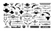 © Mohamed - A large collection of old western design elements, embellishment, borders and divider lines.