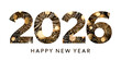 © Auguste Lange - 2026 fireworks logo, gold New Year number isolated