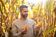 © be free - Farmer man harvesting in corn field. Harvest crop in cornfield. Farmer man on field with maize basket. Hispanic farmer with corn harvest. Maize crop harvest. Maize harvest farming