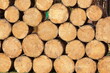 © Aleksandra Prokopenk - Pile of round timber logs showing wood grain and annual rings—ideal for forestry, woodworking industry, construction, rustic and natural backgrounds, sustainable materials, or educational visuals.