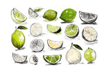 Fresh lime slices and whole limes vibrant green citrus fruits scattered on dark surface appetizing refreshing natural ingredients isolated on transparent background